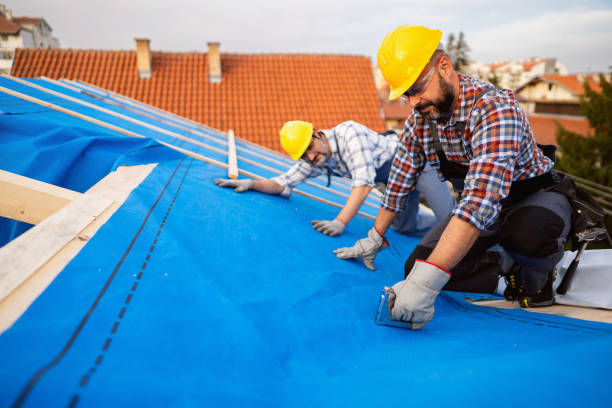 Best Flat Roof Repair Services  in Forest Hills, TN