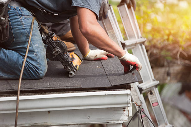 Professional Roofing Contractor in Forest Hills, TN